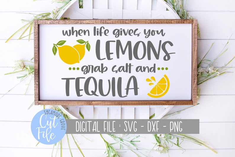 When Life Gives You Lemons Grab Tequila And Salt