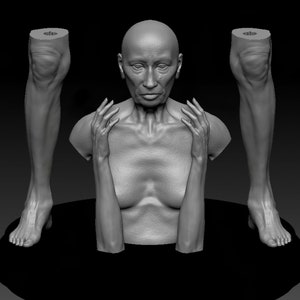 Digital Dollhouse Miniature Doll STL Files for 3D Printing 1:12 Scale