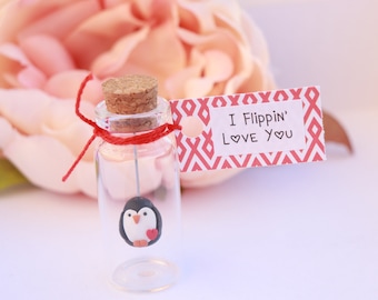 May include: A small glass bottle with a cork stopper and a red string tied around it. Inside the bottle is a small penguin figurine with a red heart. A tag attached to the bottle reads "I Flippin' Love You" with two small hearts.