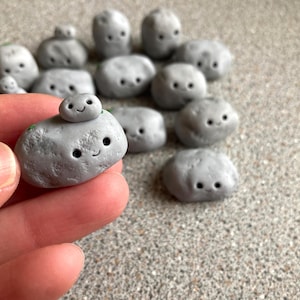 You rock, Polymer clay pet pebble, You are my rock, Plant buddy, Gift for mum, Gift for dad, Best friend, Rock climber gift, Mothers day