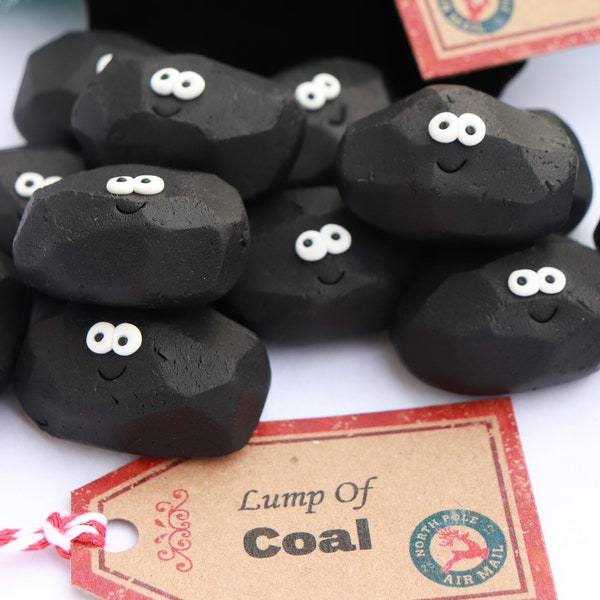 Pet Lump of Coal, Funny Christmas Gift, Polymer Clay Coal, Gag Office Gift, Naughty or Nice List, Hogmany coal, Daughter gift, Gift for son