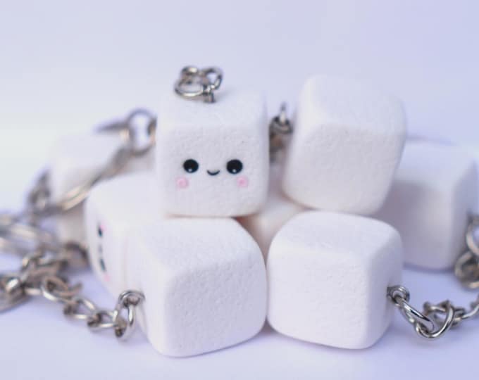 Kawaii sugar cube keyring, Polymer Clay Birthday Gift, Anniversary For her