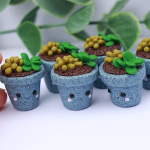 Kawaii Polymer Clay Succulent Plant Pot: Desk Ornament - Etsy