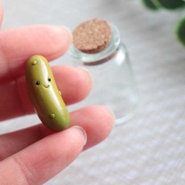 Pepinillo para mascotas en un frasco, regalo de cumpleaños divertido, compañero de arcilla polimérica