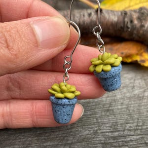 Succulent Earrings: Polymer Clay Plant Pot, Stainless Steel Hooks