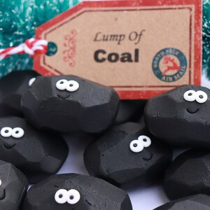 Funny Christmas Gift, Polymer Clay Coal, Gag Office Gift, Naughty or Nice List, Hogmany coal, Daughter gift, Gift for son, Pet Lump of Coal,