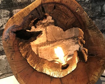 ON SALE! Driftwood Lighting: Hollow Log Lamp (#3 of 6-same log) , w/Edison Bulb, Vintage Wire & Switch - Looks Great Any Side - Free US Ship