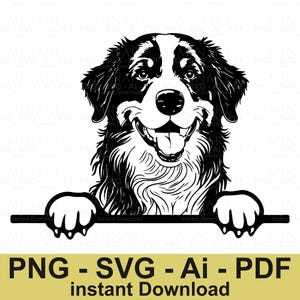 Berner Sennenhund Hunderasse Clipart Hunde-Liebhaber-Geschenk Digitaler Download Haustierporträt-Schnittdateien