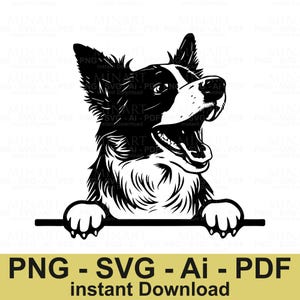 Border Collie Dog Svg Cut File,  Puppy Clipart, Pet Lover Digital Design for Cricut Silhouette DIY Projects