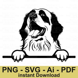 Berner Sennenhund-Svg-Datei, Hund späht Digital Cut-Datei, Haustier-Liebhaber Clipart, Tier-Svg-Png-Pdf für Cricut Silhouette Crafts