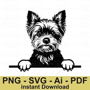 Yorkie Dog Svg Png Dxf Pdf Digital Download  Yorkshire Terrier Puppy Clipart for Cricut Silhouette Crafts