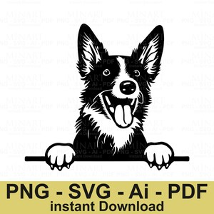 Border Collie Dog Svg Cut File, Happy Dog Vector Graphic, Pet Lover DIY Design, Cricut Silhouette Instant Digital Download Png Dxf