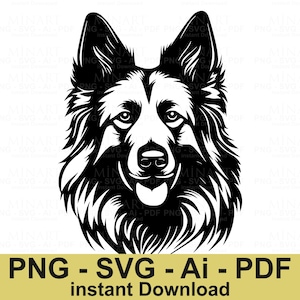 Border Collie Dog Svg Cut File, Dog Lover Digital Clipart, Pet Portrait Vector Graphic, Animal Silhouette Cricut Design Download
