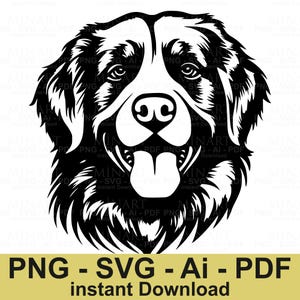 Berner Sennenhund, detaillierte Hunderasse digitale Clipart, Haustier-Liebhaber-Png-Dateien für Cricut, Hunde Gesicht Vektor geschnitten Datei-Download