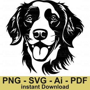 Berner Sennenhund SVG, Berner Gesicht Silhouette, Hund Linie Kunst, Haustier Clipart geschnitten Datei, Sofort-Download für Cricut & Silhouette