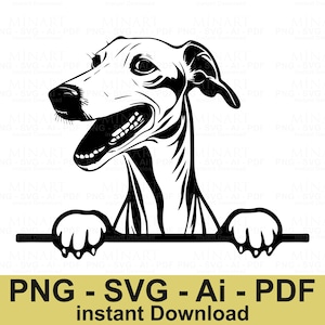 Whippet Dog Svg File, Greyhound Dog Breed Vector Art, Pet Lover Clipart, Cricut Silhouette DIY Craft Instant Digital Download