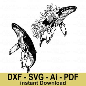 Whale Floral Svg Bundle, Ocean Animal Cricut Design, Sea Life Digital Clipart, Marine Mammal Vector Art, DIY Craft Cut Files