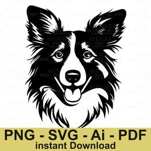 Border Collie Dog Svg Dxf Png Pdf Digital Download,  Dog Face Clipart, Pet Lover Cricut Silhouette Cut File