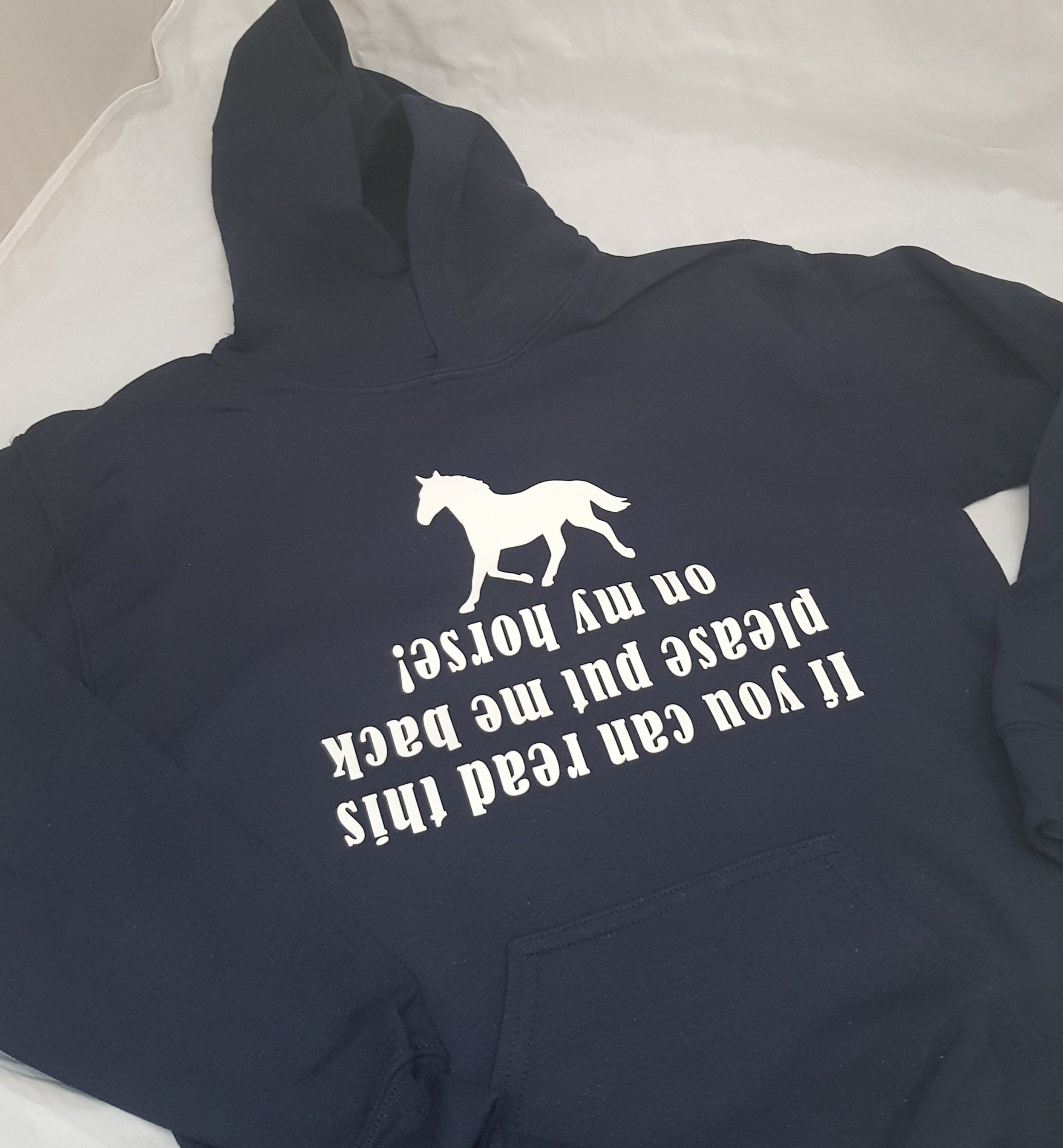 If You Can Read This Please Put Me Back on My Horse Hoodie AGE