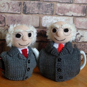 Michael Tea Higgins / Michael Tea / Michael D Higgins teapot cosy / Novelty tea cosy / Teapot cozy / Michael T Higgins / tea cosy Miggeldy Small 2 cups