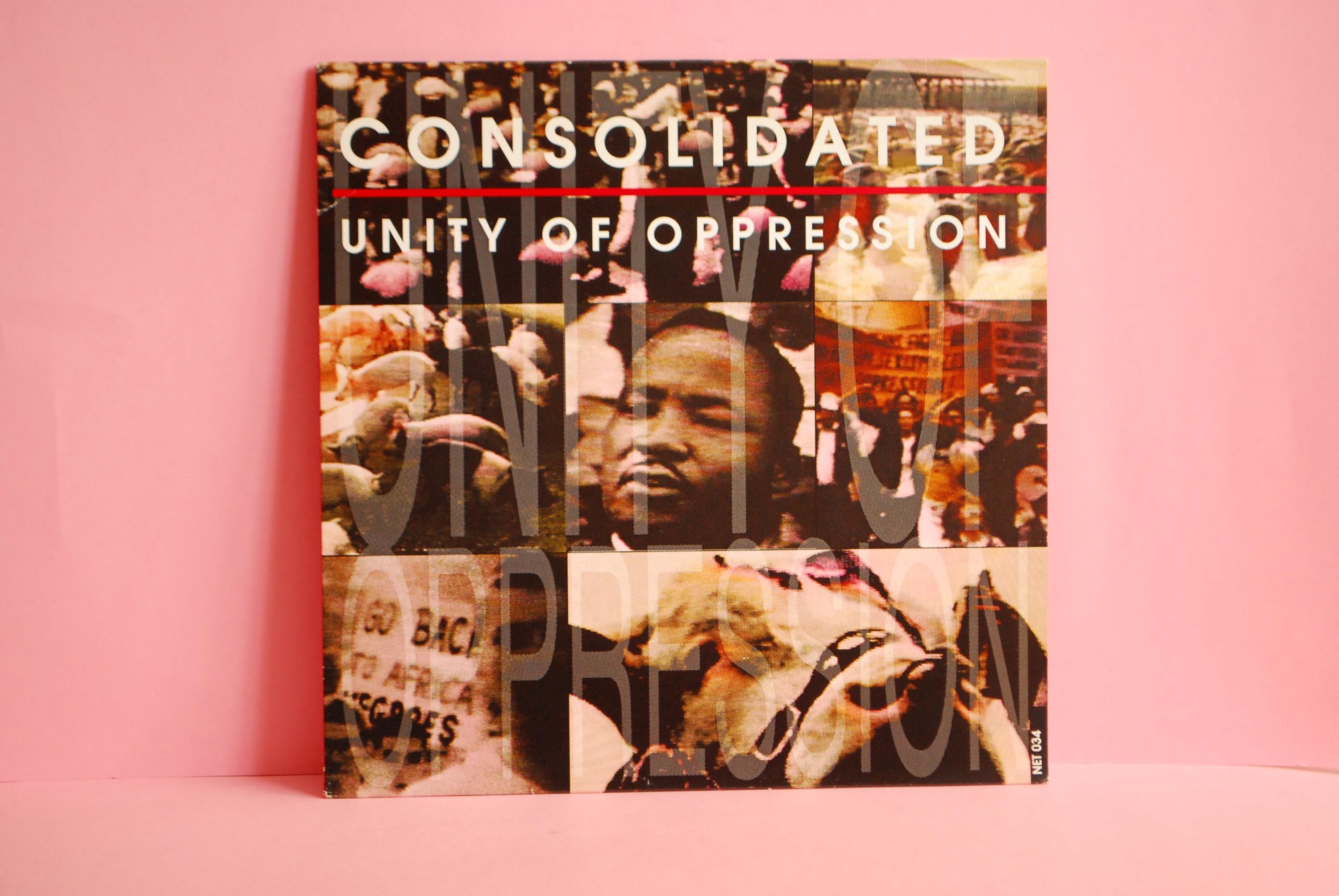 Consolidated – Unity Of Oppression | Vintage Vinyl, 12", 45 RPM | Hip-Hop Electronic 1991