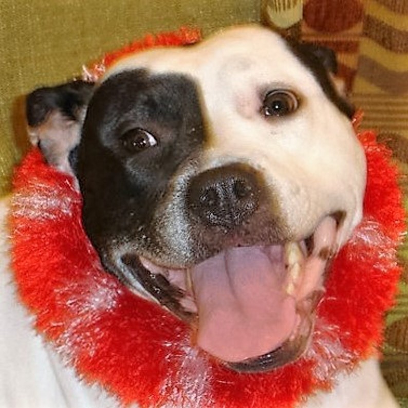 Christmas Ruff Ruffs® Collar decorativo para mascotas imagen 1