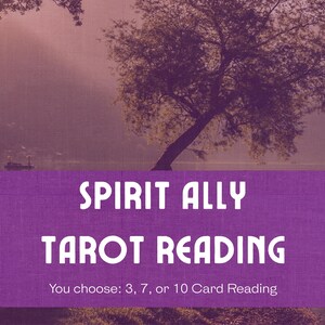 Leitura de Tarô Spirit Ally | Explore seu relacionamento com guias e companheiros | 3, 7 ou 10 cartas