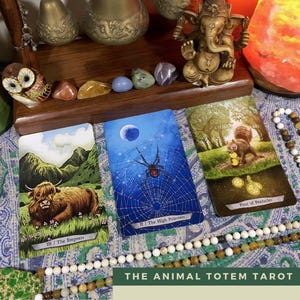 Where should I go to school Compass Tarot Reading digital file: PDF, JPG you print Animal Totem