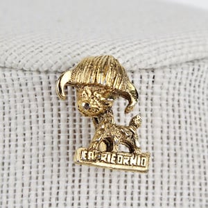 May include: Gold-toned metal pin featuring a stylized depiction of a goat with the text "CAPRICORNIO" below.