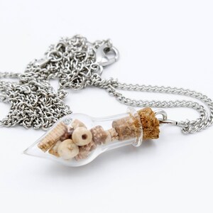 Crinoid Fossil Terrarium Necklace glass vial pendant