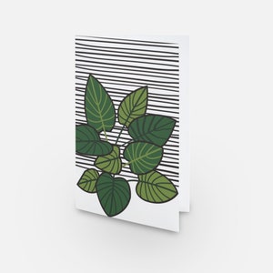 Plante Pothos - Carte de vœux