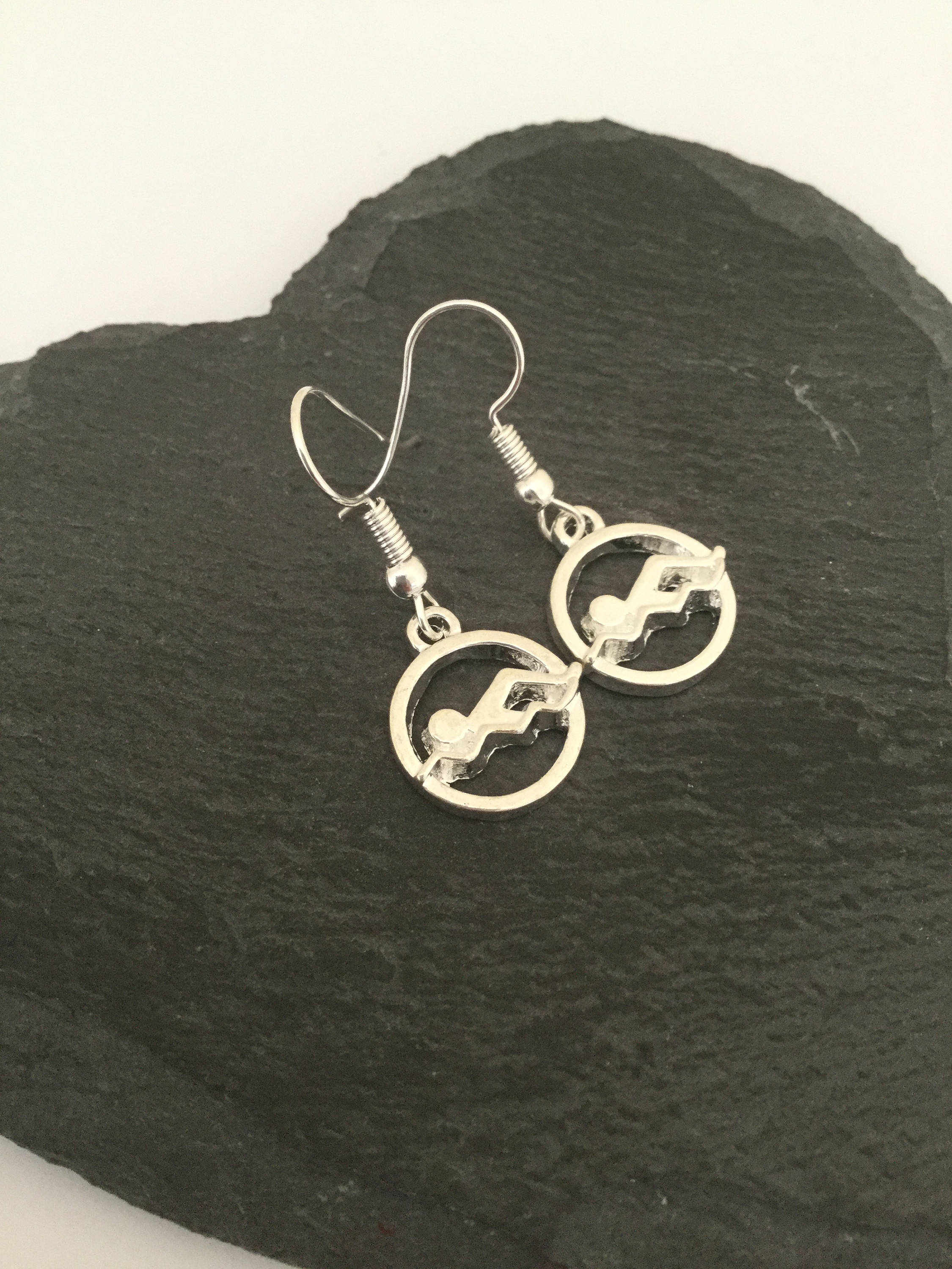 Swimming earrings / swimming jewellery / swimmers gift / Etsy