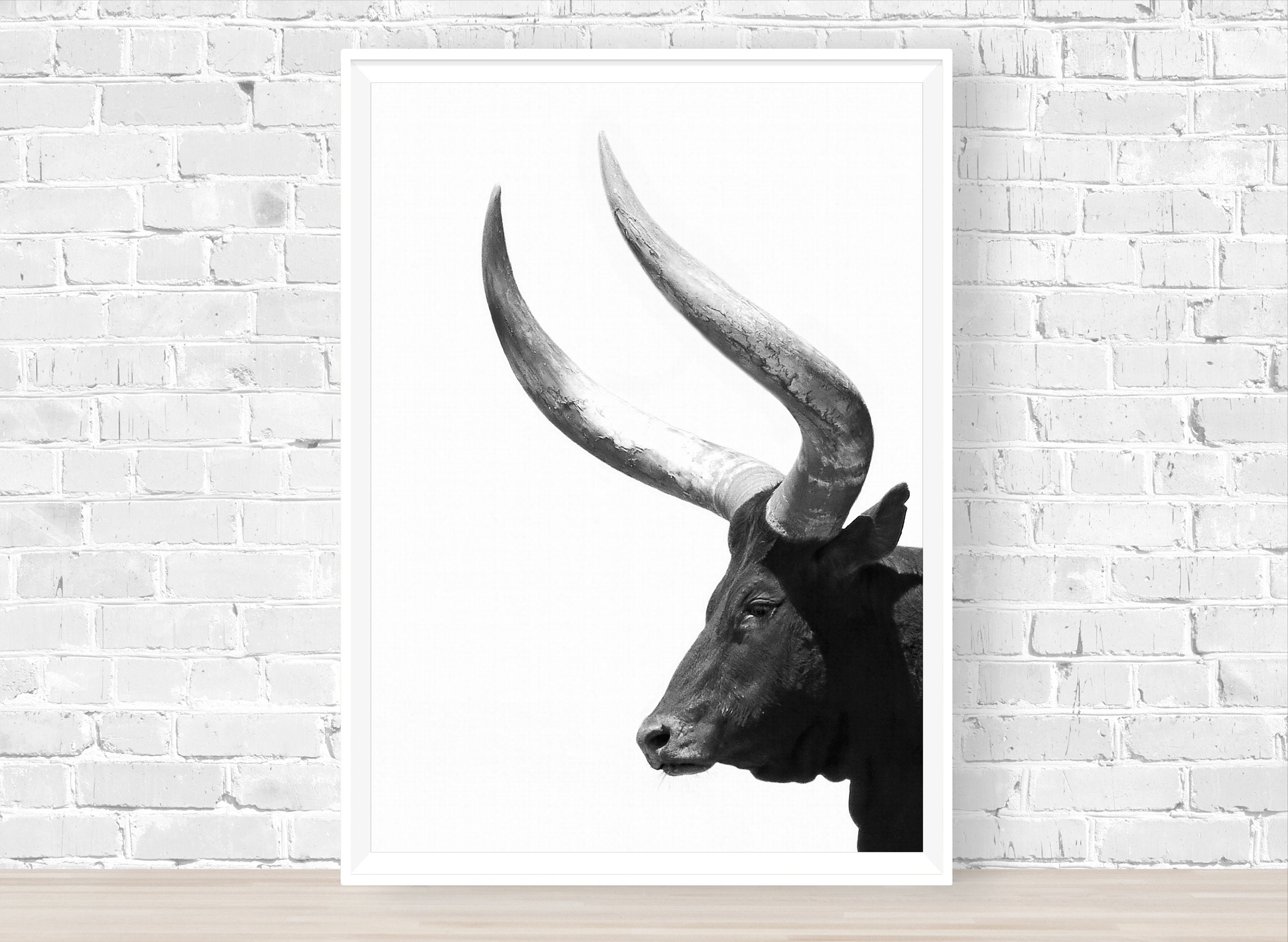 Bull Wall Art Print Animal Instant Download Print Highland Etsy