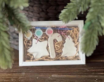 DIY Christmas Ornament Craft Kit for Kids