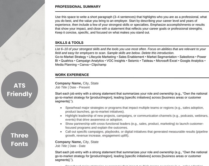 Ats Style Guide ATS Friendly Resume Template Bundle, Writing Guide (word, Google Docs ...