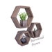 see more listings in the Hexagon Shelves section