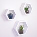 see more listings in the Hexagon Shelves section