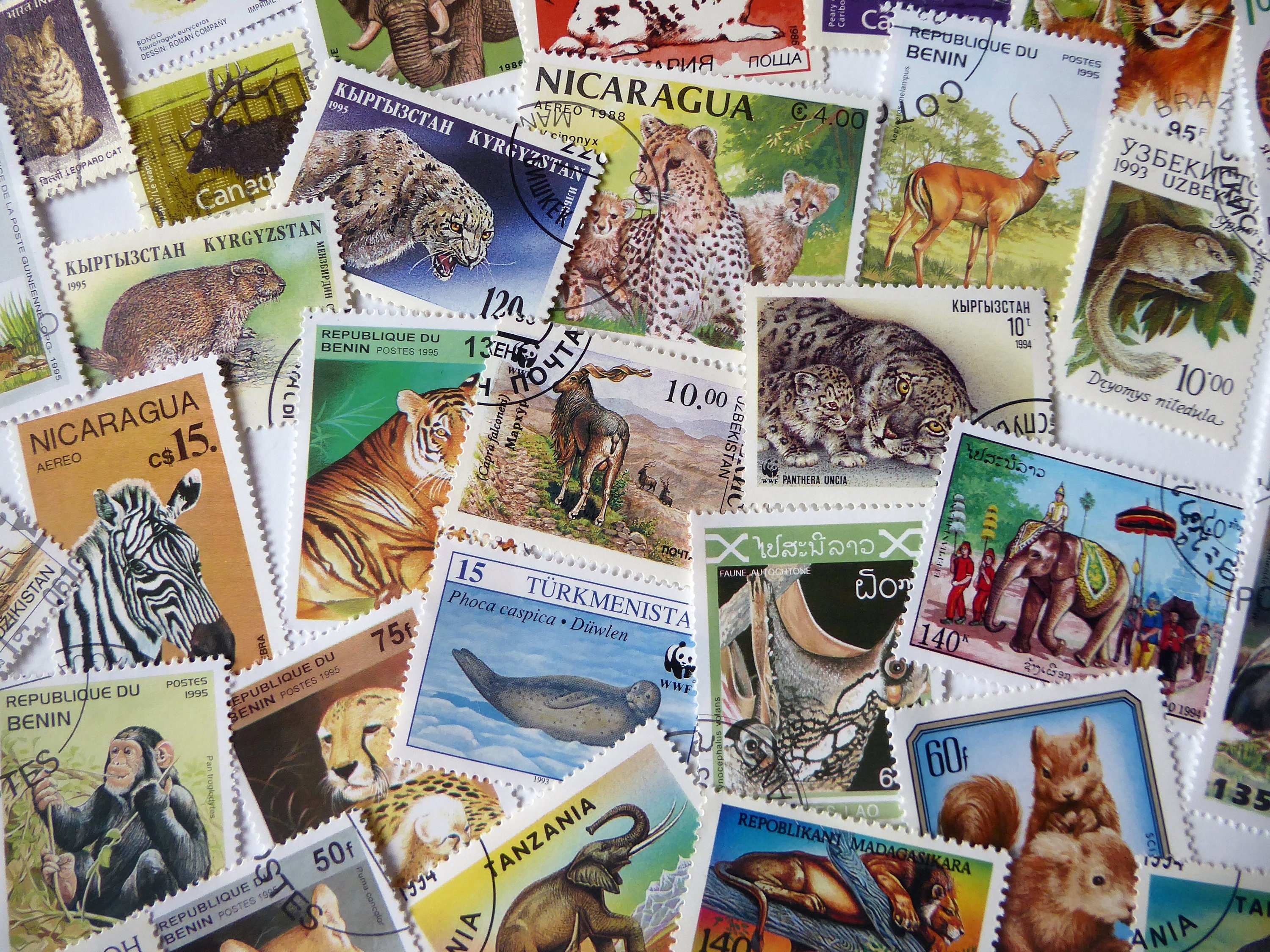 50 Wild Animals Postage Stamps Mixed Lot - Etsy