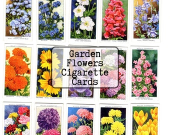 cigarette garden 50 Garden Flowers 1939 cigarette cards, Instant Download, Printable PDF