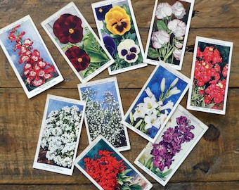 flower cigarette Sleepy Cigs Tobacco-Free Lavender Cigarettes Flower Bouquet Decorated Cigarettes Against