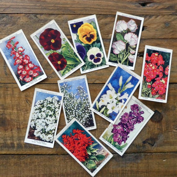flavoured cigarette cards 10 Vintage Garden Flowers Cigarette Cards