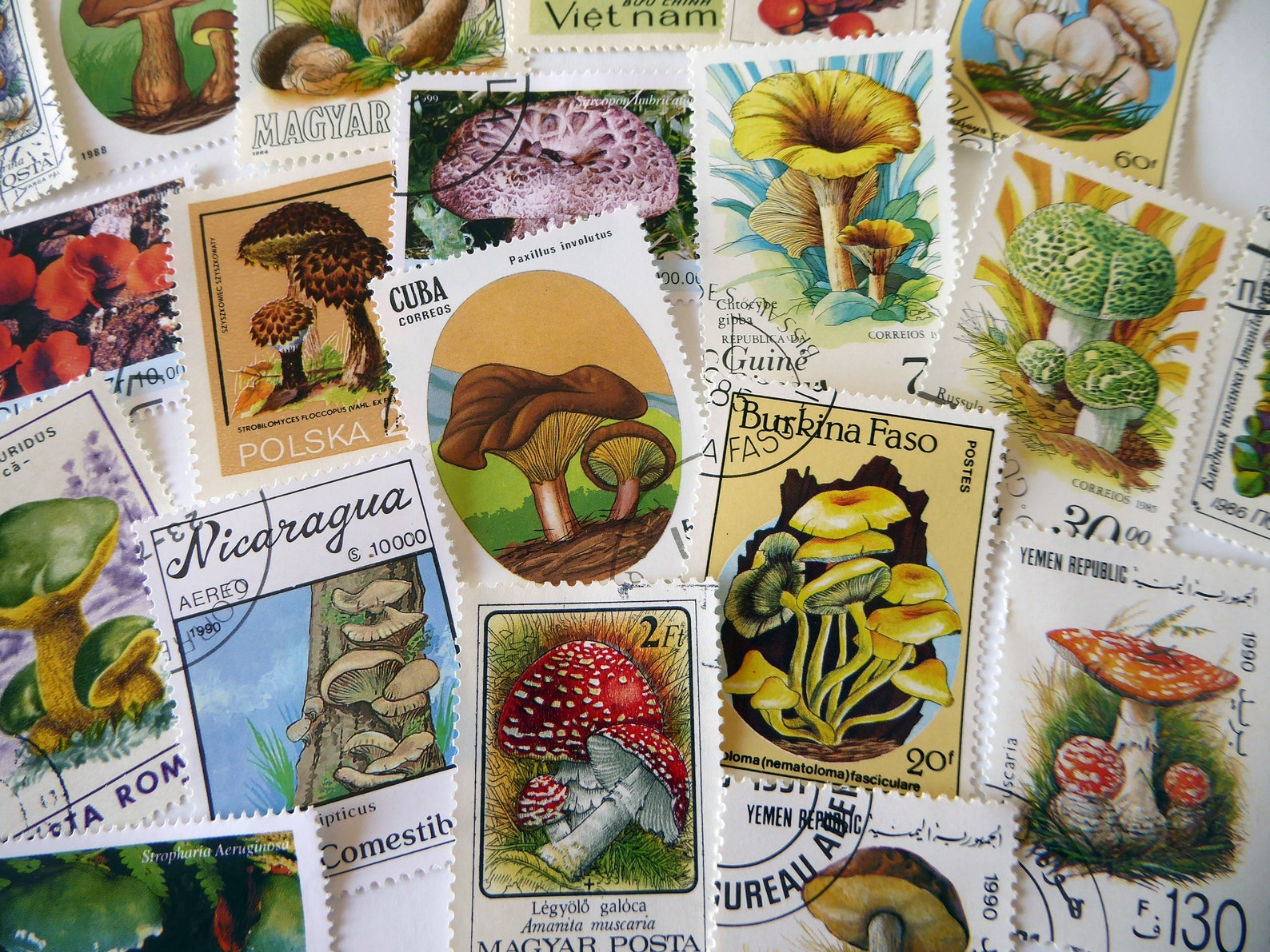 25 Mushroom Postage Stamps Mixed Lot - Etsy