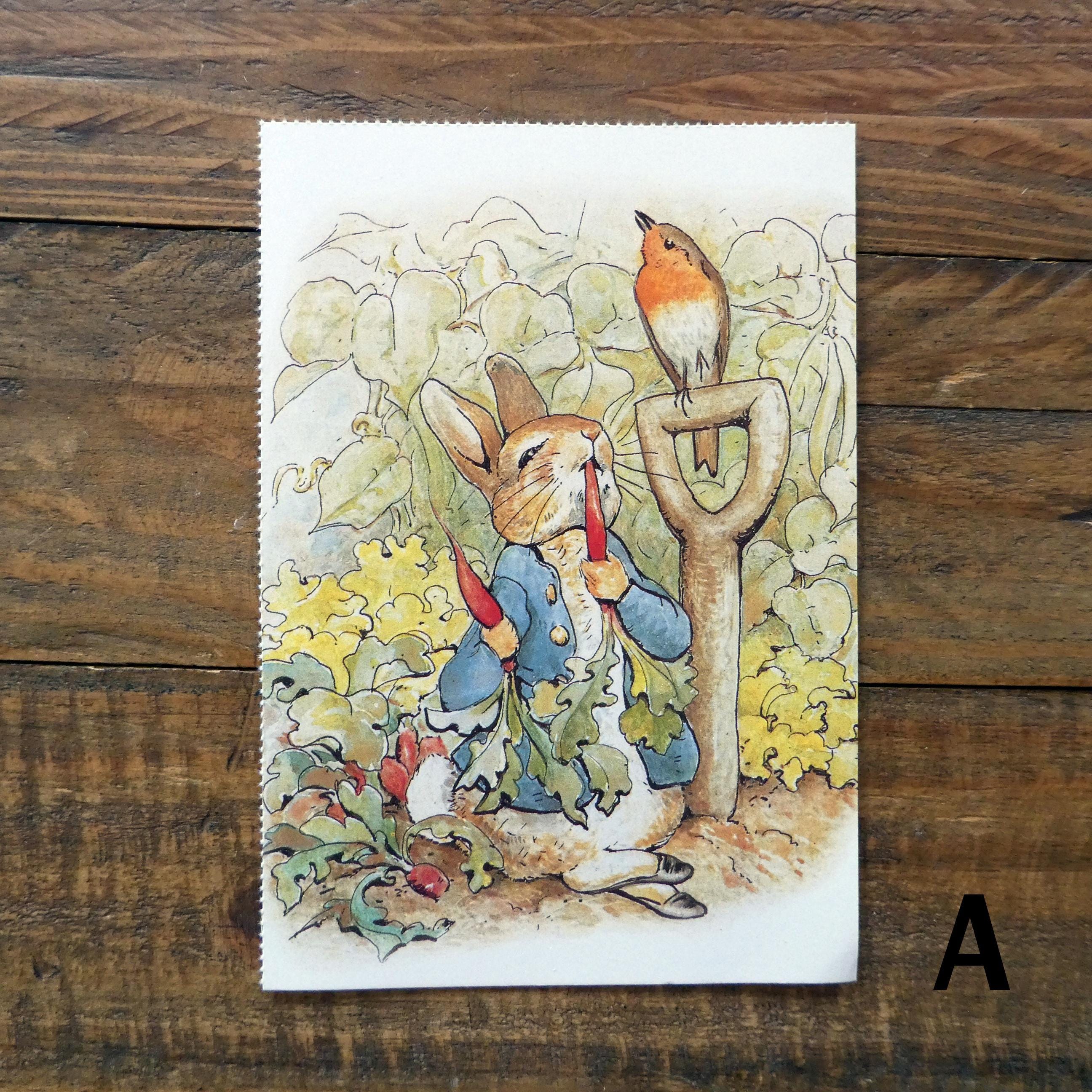 洋書 Marseilles, Genoa & Pisa:Beatrix Potter Vintage Beatrix Potter Postcards, Peter Rabbit and Friends Cards