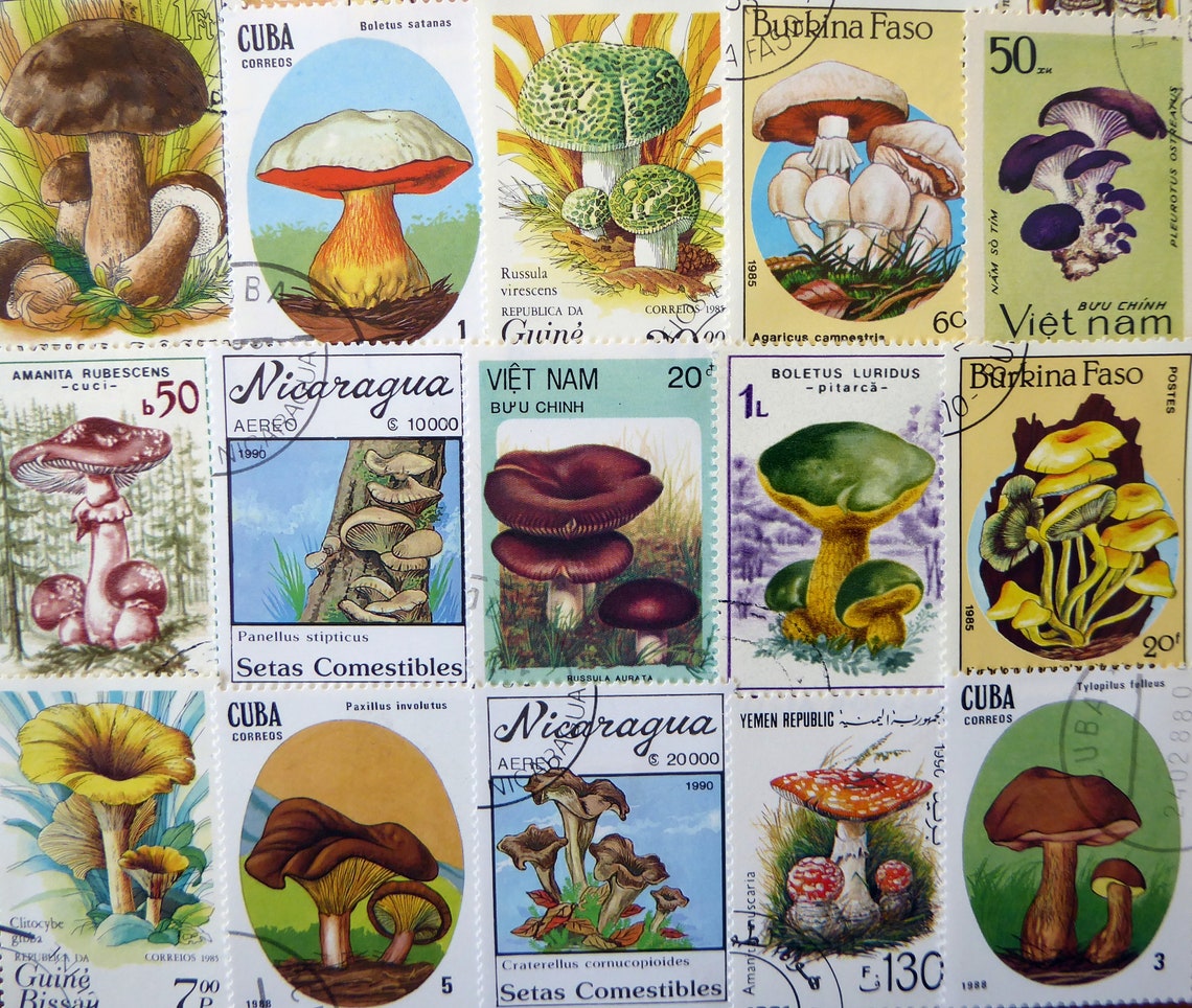 25 Mushroom Postage Stamps Mixed Lot - Etsy