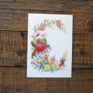 Carte vierge vintage australienne de fleurs sauvages, carte vierge non utilisée par Joyce McPhee