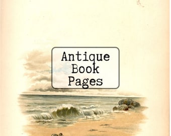 DIGITAL Antique Book Pages, Instant Download, Printable PDF