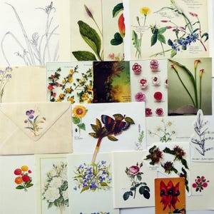 Botanical ephemera pack 35 pieces