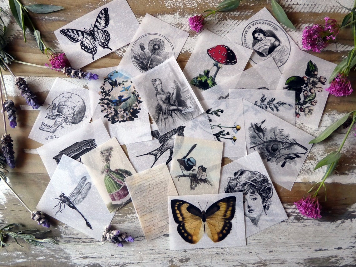 20 Piece Vellum Vintage Images Paper Pack in Glassine Envelope - Etsy ...