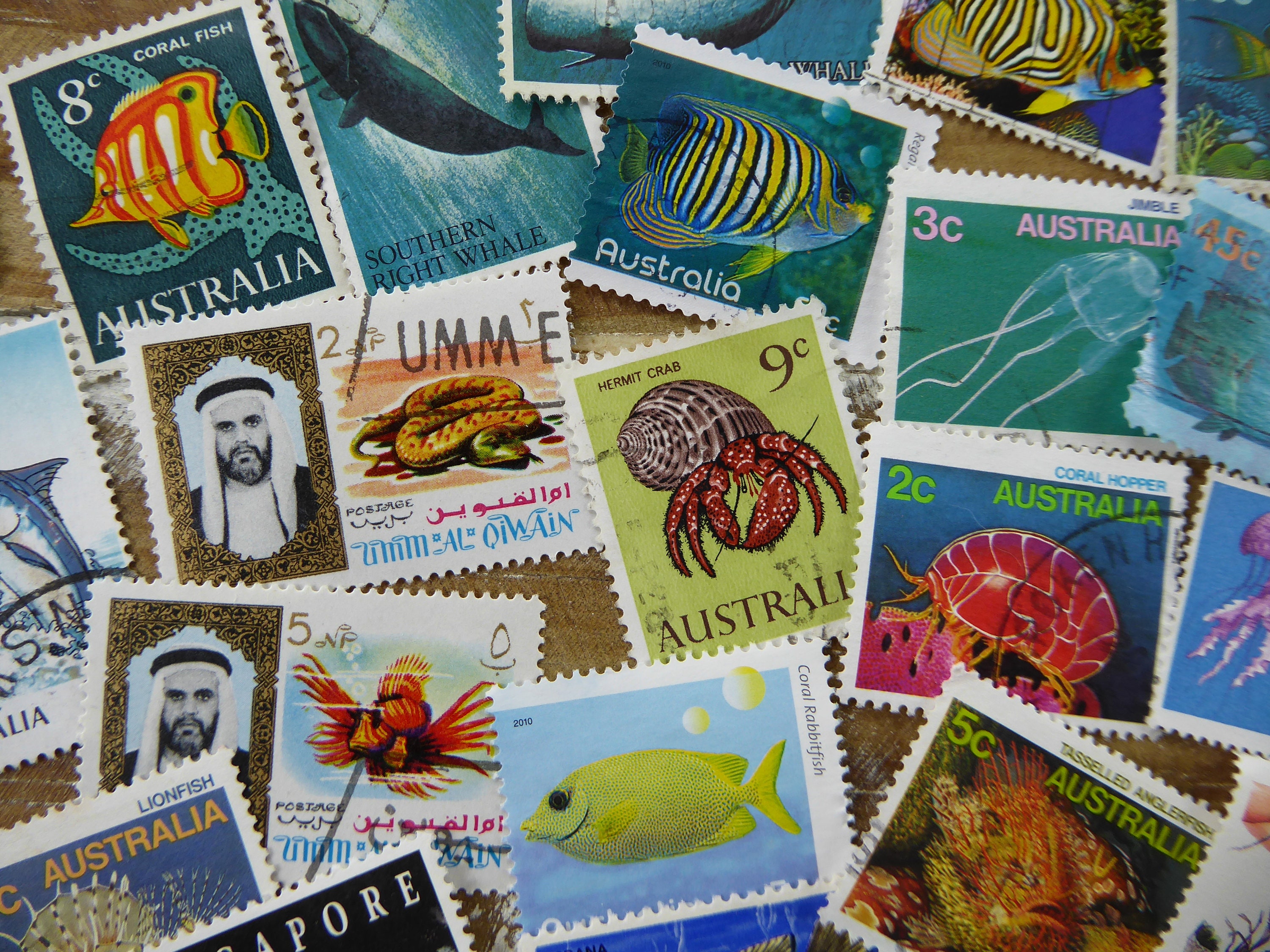 50 Fish and Sea Creatures Postage Stamps Mixed Lot - Etsy