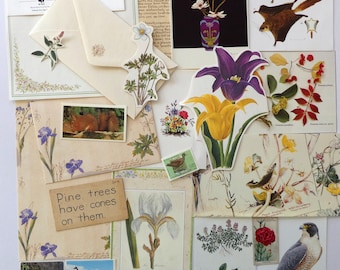 Nature ephemera paper pack 30 pieces